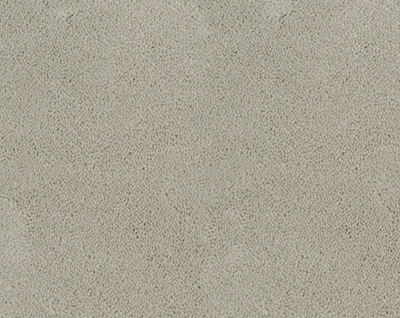 desso asteranne 1101