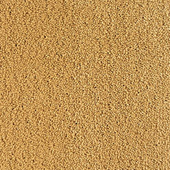 interfloor pasadena 950