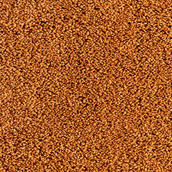 interfloor toscane 455